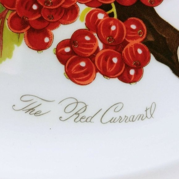 Portmeiron Ponoma Dinner Plates 4 Pc Susan Williams-Ellis - Picture 9 of 9